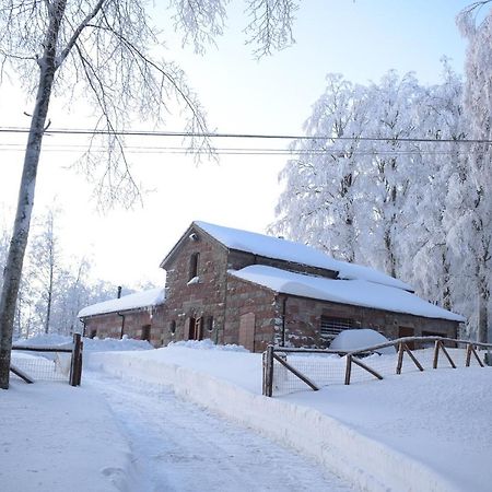 Chalet Vecchio Rifugio - Monte Amiata Castel del Piano (Tuscany) Exterior foto