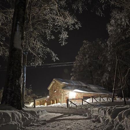 Chalet Vecchio Rifugio - Monte Amiata Castel del Piano (Tuscany) Exterior foto
