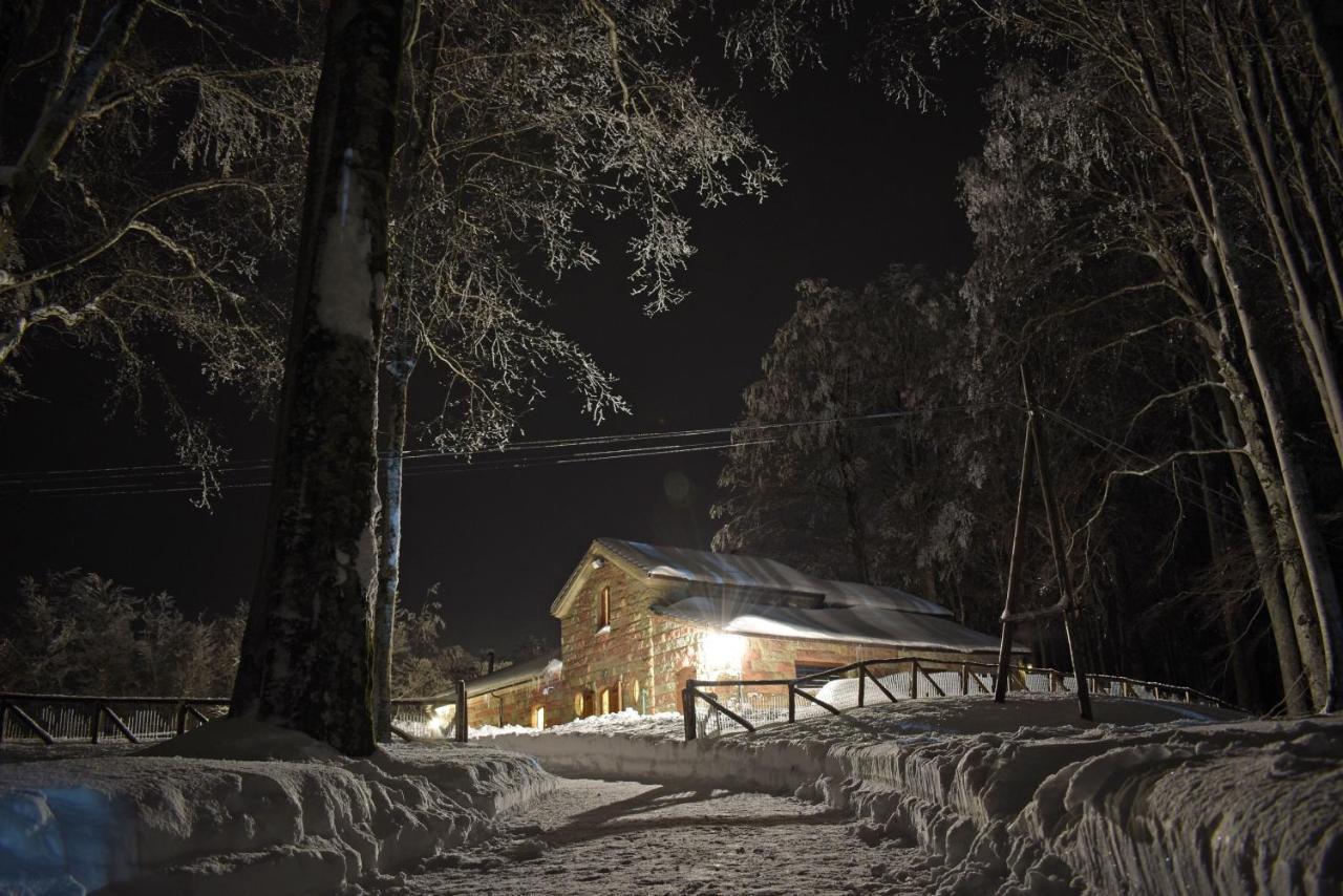Chalet Vecchio Rifugio - Monte Amiata Castel del Piano (Tuscany) Exterior foto