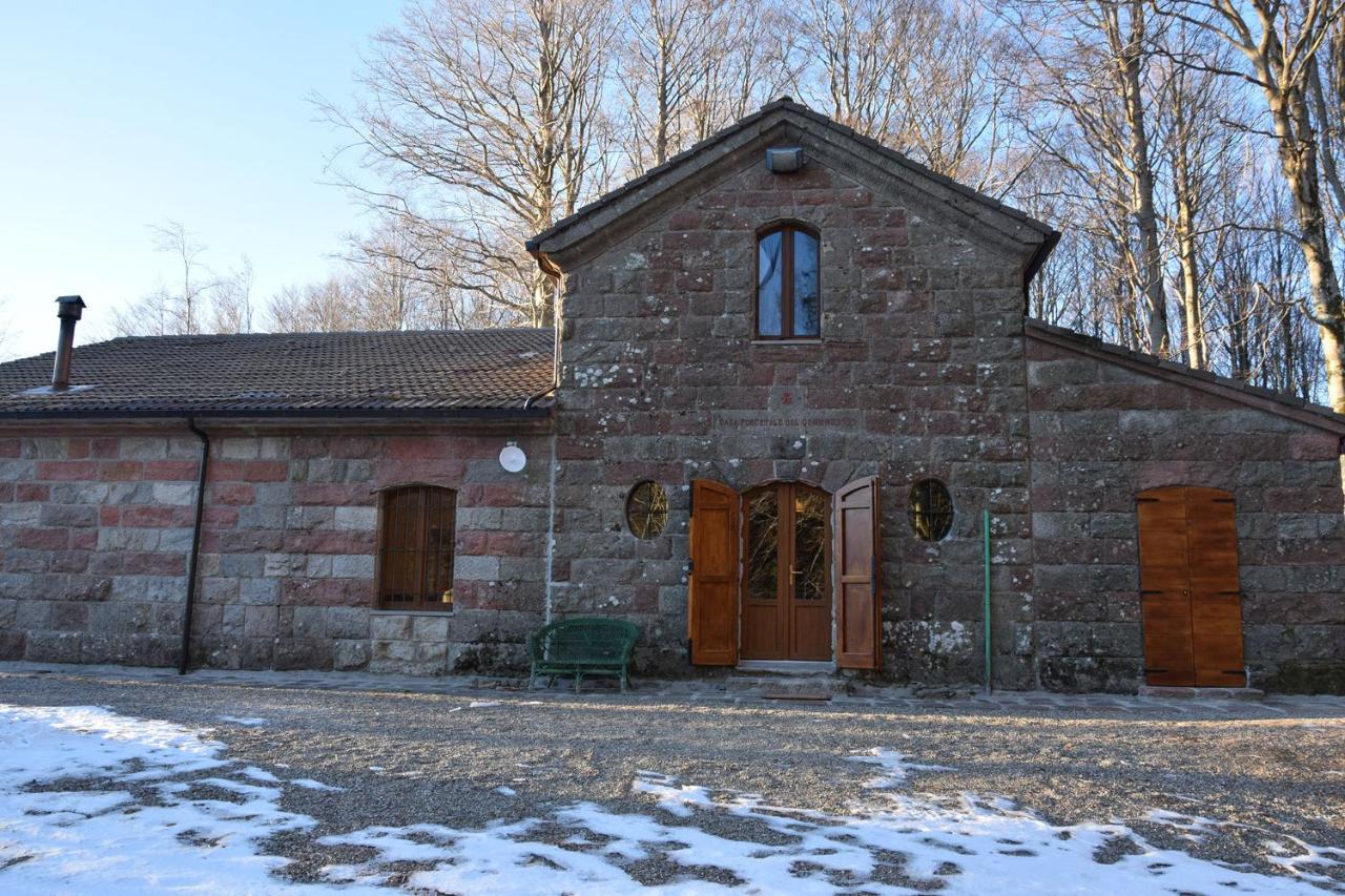 Chalet Vecchio Rifugio - Monte Amiata Castel del Piano (Tuscany) Exterior foto