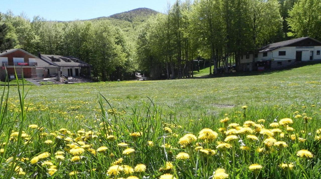 Chalet Vecchio Rifugio - Monte Amiata Castel del Piano (Tuscany) Exterior foto