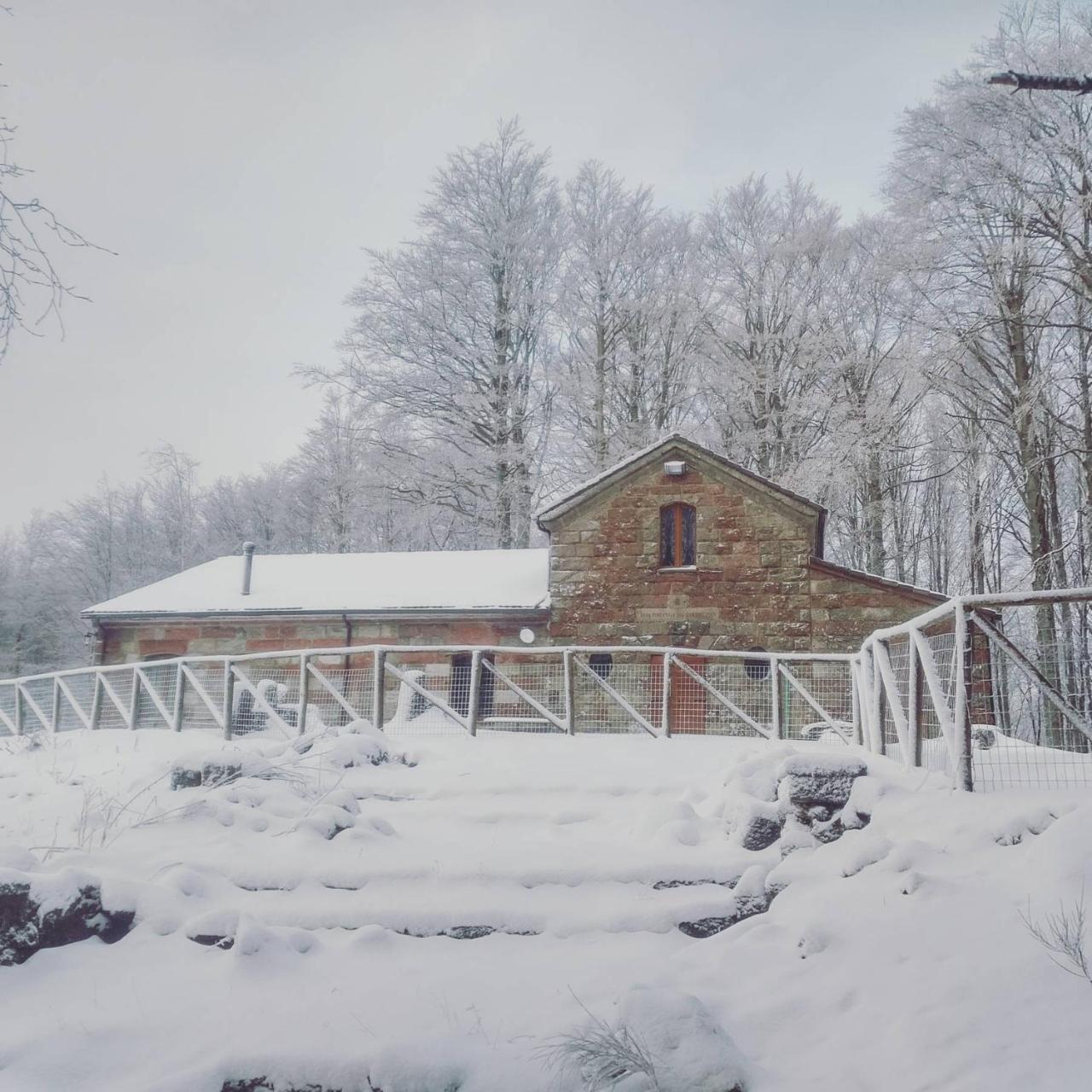 Chalet Vecchio Rifugio - Monte Amiata Castel del Piano (Tuscany) Exterior foto