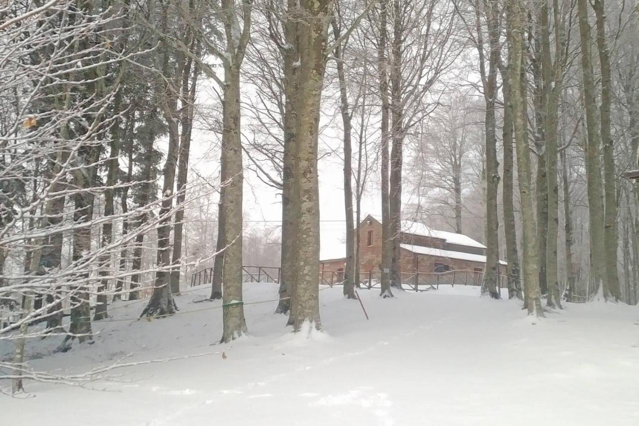 Chalet Vecchio Rifugio - Monte Amiata Castel del Piano (Tuscany) Exterior foto
