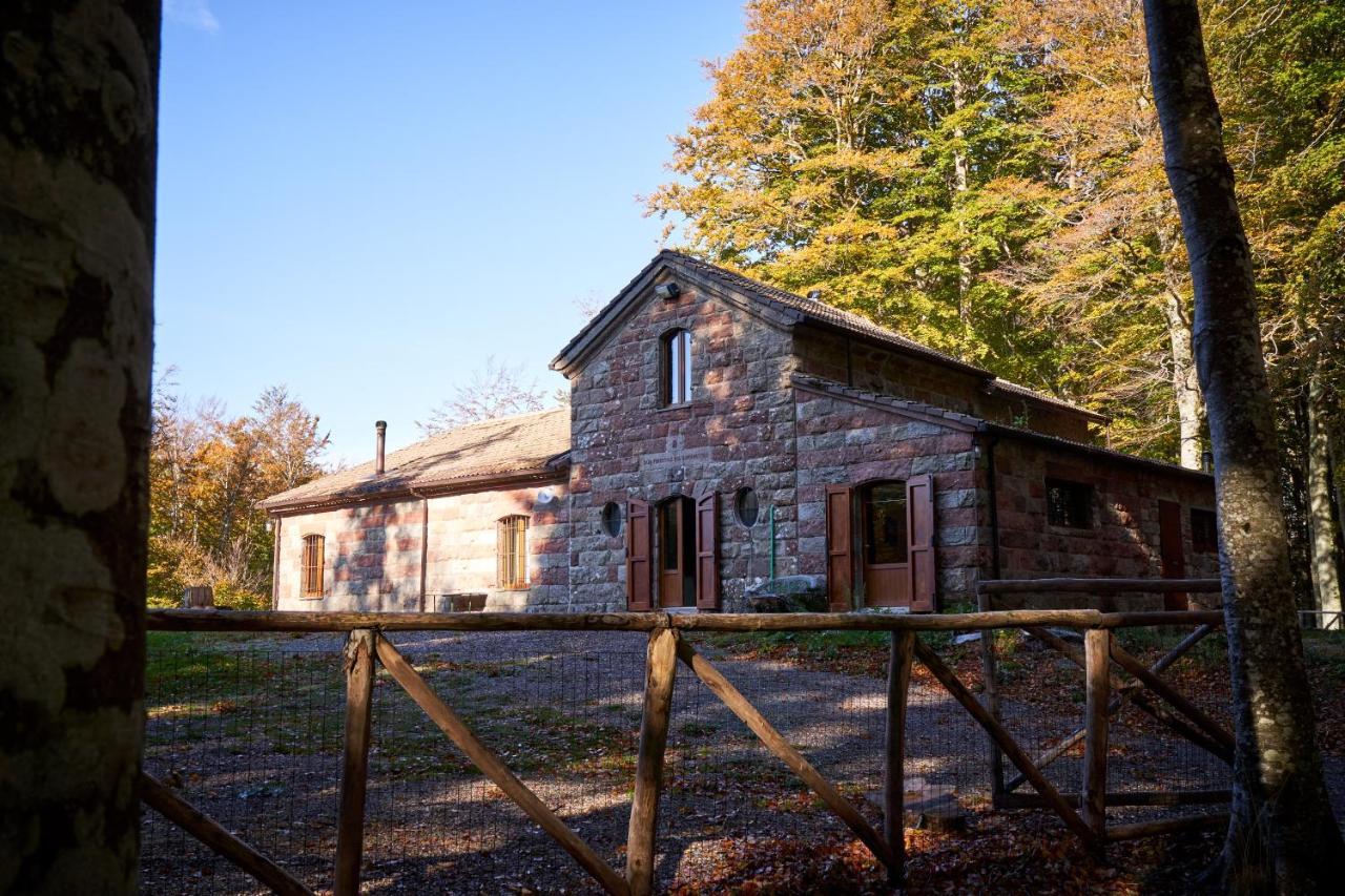 Chalet Vecchio Rifugio - Monte Amiata Castel del Piano (Tuscany) Exterior foto
