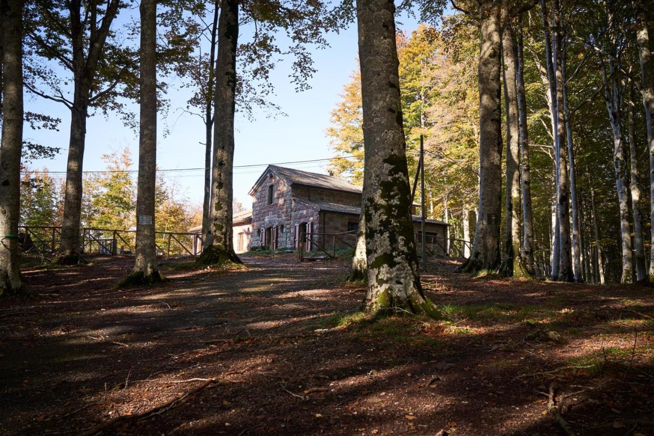 Chalet Vecchio Rifugio - Monte Amiata Castel del Piano (Tuscany) Exterior foto