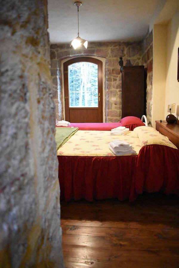 Chalet Vecchio Rifugio - Monte Amiata Castel del Piano (Tuscany) Exterior foto